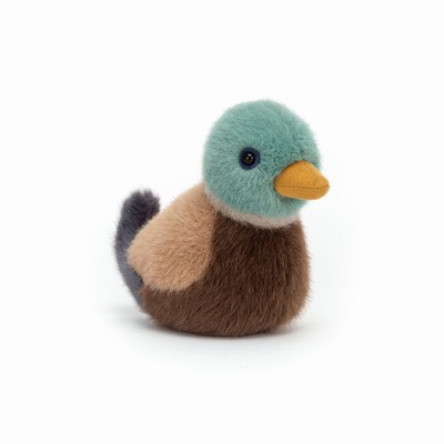 Jellycat Mallard Birds New Zealand | FRIQW0251